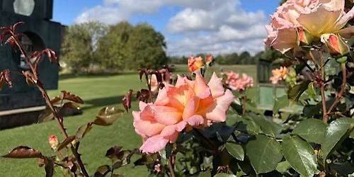 Churchill College Garden Tour