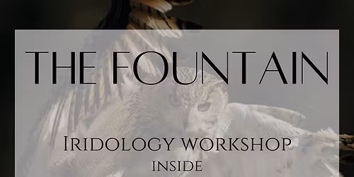 \u2728 Iridology Workshop & Community Night Inside The Light System \ud83c\udf3f