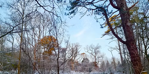 Post Christmas Amble \u2013 8.5km Narnia Trail, Banstead Woods, Chipstead Downs