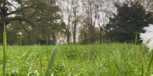 GIRLS IN ICT: Mindful fotograferen, 9+