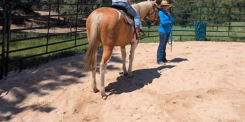 Connections Through Horses Instructor Workshop