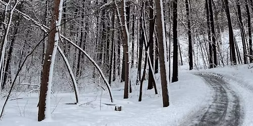 Solstice Appreciation & Education Walk