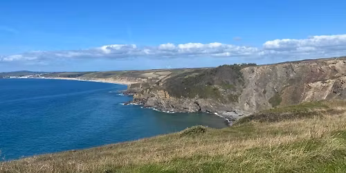 Smarter Scaling: Precision Instrumentation for Today\u2019s Dental Hygienist and Therapist