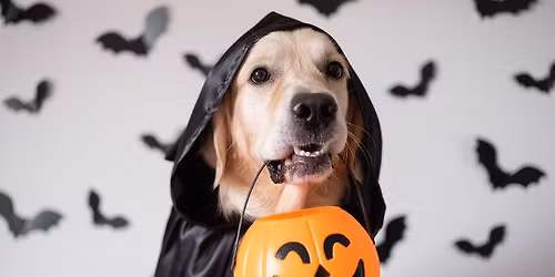 Dog U's 8th Annual "Howl-O-Ween" Costume Contest