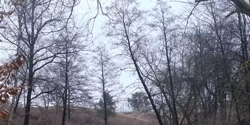 Rajd Pieszy - Ma\u0142e Bieszczady