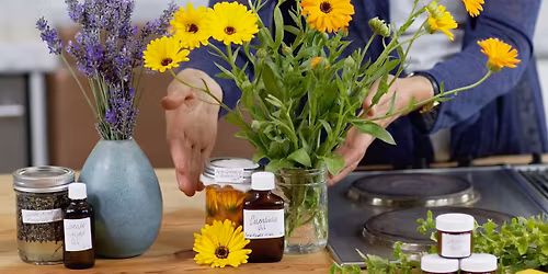 Seasonal Medicine Making Series