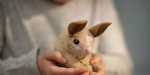 Ethical Animal encounters with ZooLab