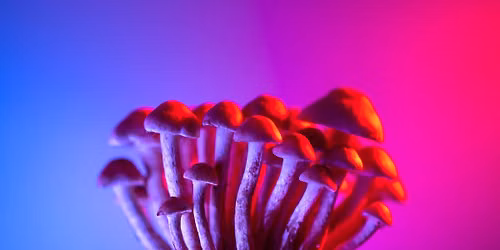 "Psychedelics as Medicines: What is Real, and What is Hype?" Badger Talk in New Richmond, WI
