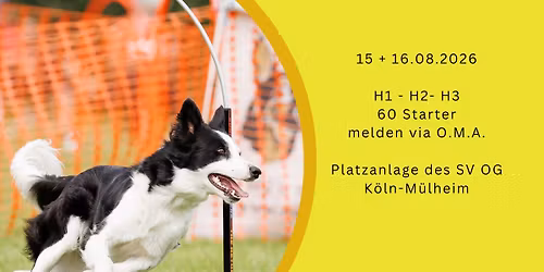 Hoopers Cologne Summer Cup