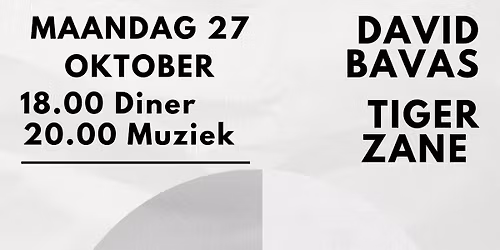 Zaal 100 - David Bavas & Tiger Zane Live!