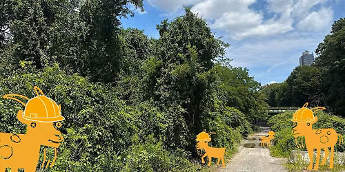 City of Forest Day: Meet the West Harlem Forest