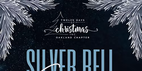Silver Bell Soiree - 25th Anniversary Party With a Purpose
