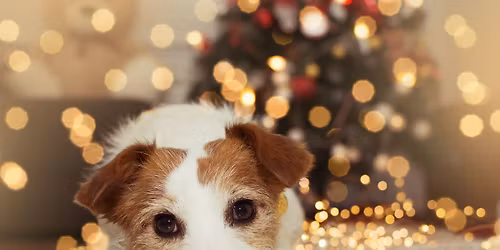 Best Life Gives Back - Holiday Fundraiser Pack Walk