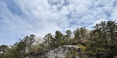 Marque Rally - Driven by design - Inaugural Drive