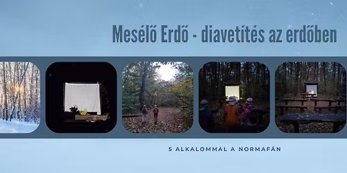 Mes\u00e9l\u0151 Erd\u0151 - diavet\u00edt\u00e9s az erd\u0151ben