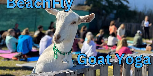 Goat Yoga and Petting Sessions
