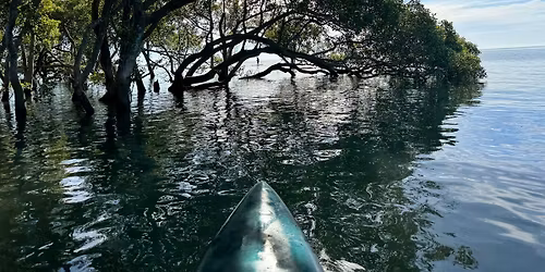 Cudgen Creek