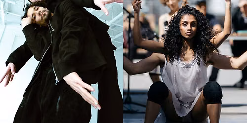 S\u00e9rie danse - Le voyage des intellectuel.le.s, c'est de la bouffonnerie !  X  Twinning 