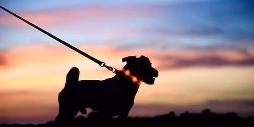 Balade \u00e9ducative nocturne