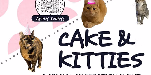 Cake & Kitties 2026