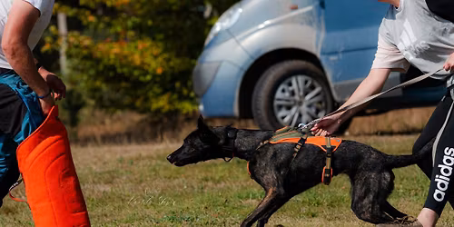 Micha\u0142 Lech w Dogresie - bite work, motywacja, zabawa \ud83d\udd25