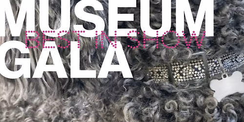 Museum Gala: Best In Show