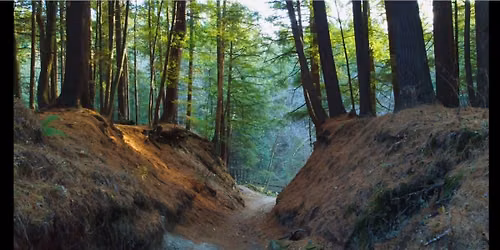 Film POP et le Fondation David Suzuki pr\u00e9sentent: Kanatenhs - When The Pine Needles Fall