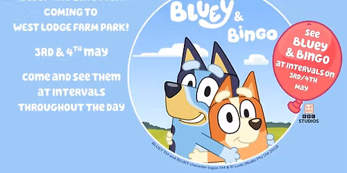 BLUEY AND BINGO ARE COMING!