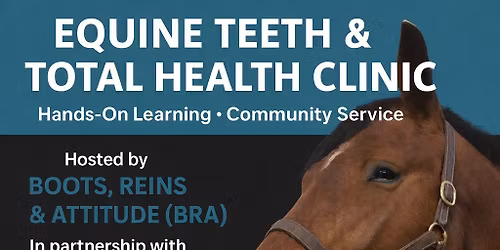 Equine Dentistry Workshop