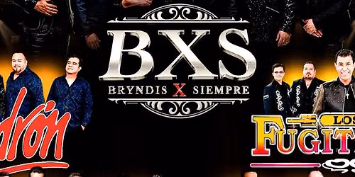 BRYNDIS X SIEMPRE, LADRON & MAS