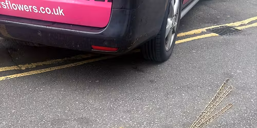 Willow Pheasant Weaving Workshop 