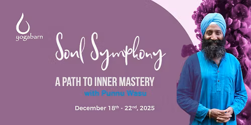 Soul Symphony: A Path to Inner Mastery