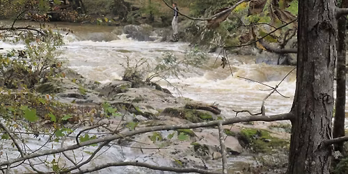 District Hike #202 - Eno River State Park (strenuous)