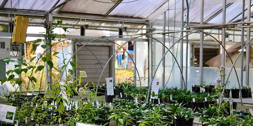 15th Annual Native Plant Sale