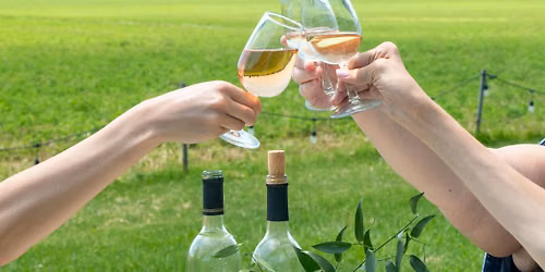 Sip & Shop in the Vines