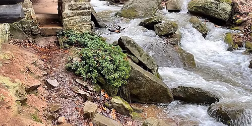 Hike to Bordner Cabin @ Swatara State Park