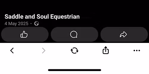 Liberty & Obstacle session with Katy Overton