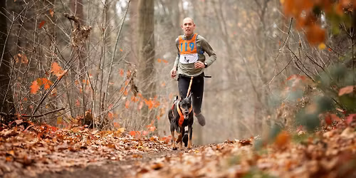 Canicross Bosschenhoofd