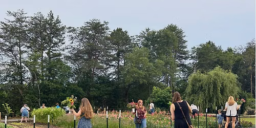 U-Pick Flowers - Friday Night 
