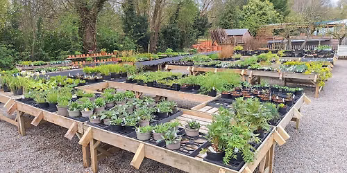 Cliff bank Nursery - a new chapter a talk by Ben Preston