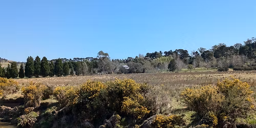 CWA W**d + Garden Invaders Info Session