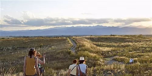 Watching Grass Grow: A Closeup Look at Prairie Ecology