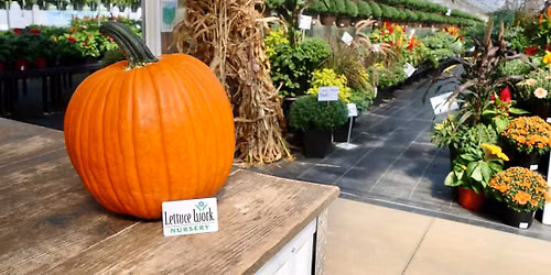 Fall Fun Weekend!