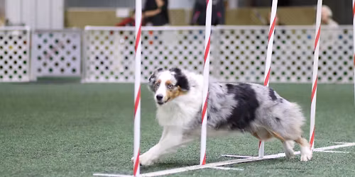 ASCA Agility Trial by Rock River! 