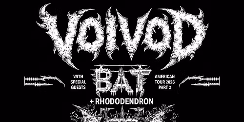 Voidvod