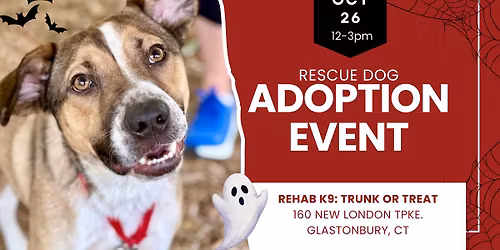Halloween Trunk or Treat Adoption Event in Glastonbury CT