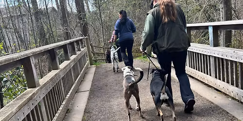 Pack Walk at Willis Tucker Park
