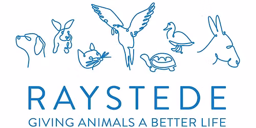 RAYSTEDE: General Visit