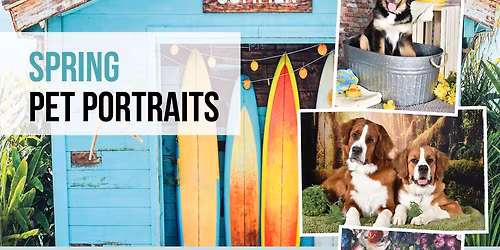 Spring  Pet Portraits Cornwall Pet Valu Saturday May 2nd 2026 call 613 938 2620 for an appointment 