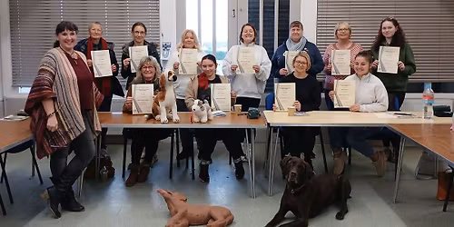 Animal (cat & dog) First Aid Course in Gillingham Kent.